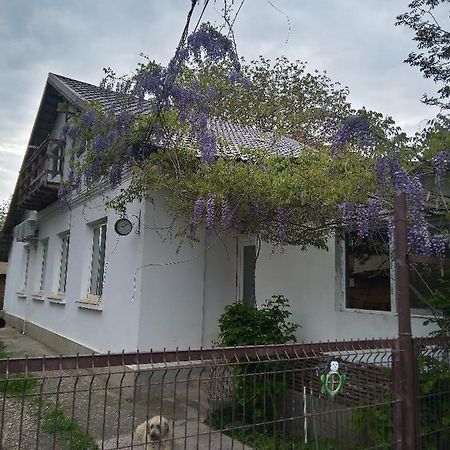 Casa Mocanu Giurgiu Luaran gambar
