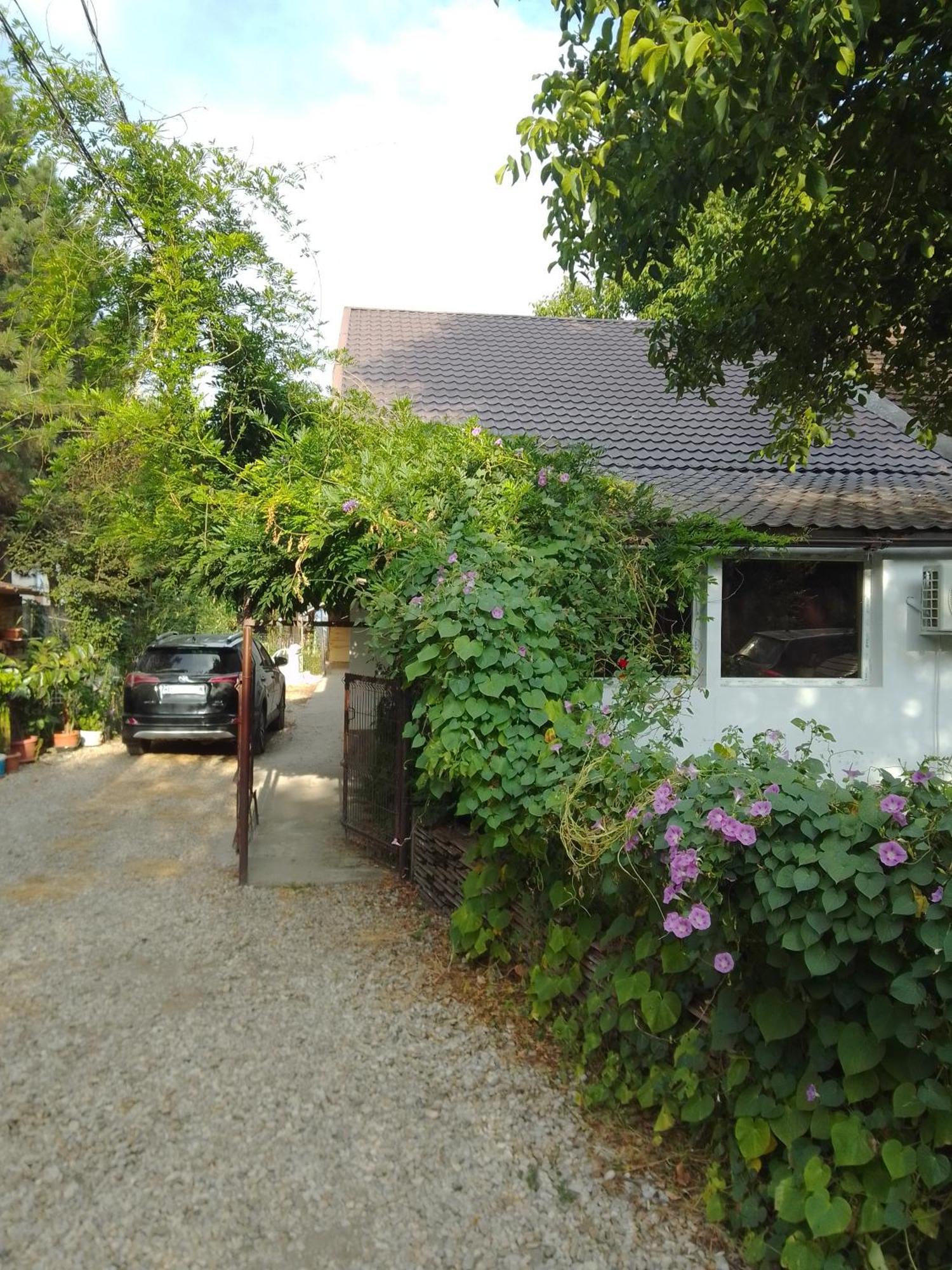 Casa Mocanu Giurgiu Luaran gambar